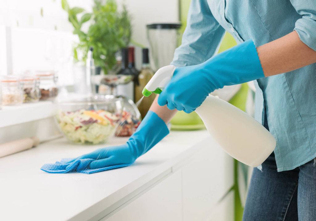 Professional Cleaning Service