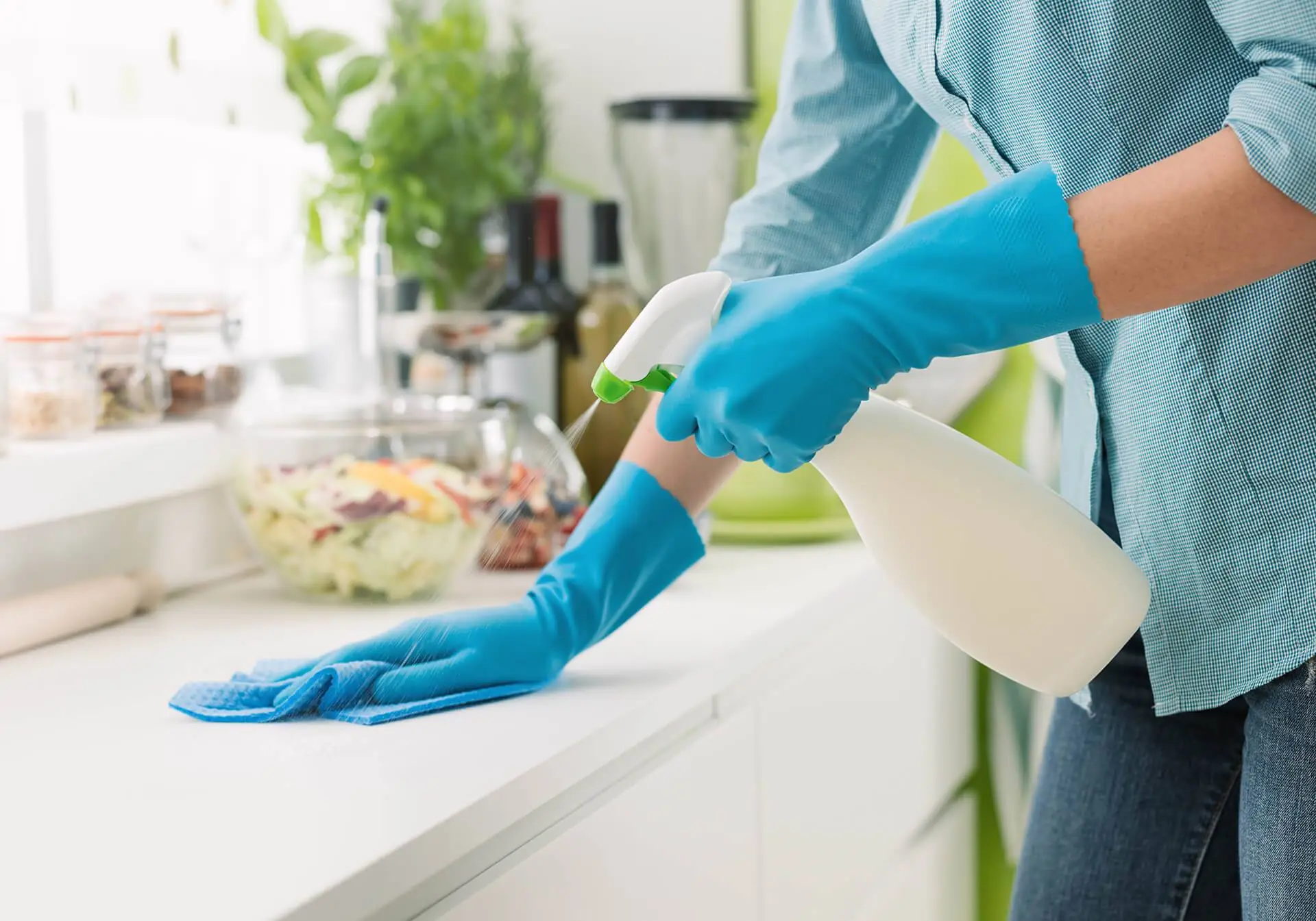 Professional Cleaning Service